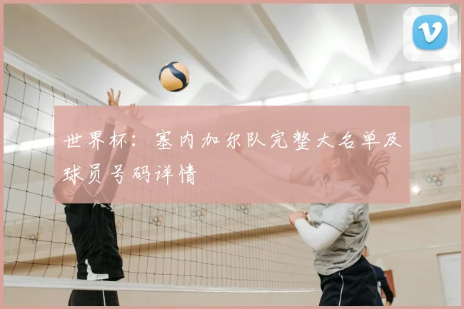世界杯：塞内加尔队完整大名单及球员号码详情